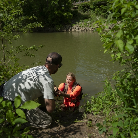 Meet your Posher, Regena - Picture 15 of 16